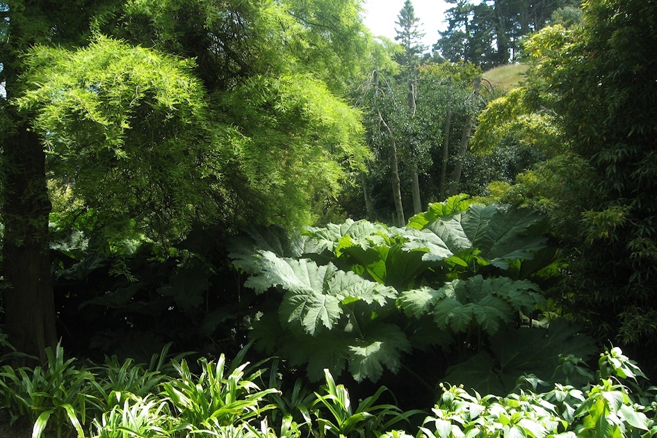 温帯植物と亜熱帯植物の境界