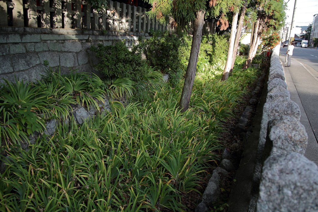 ���_�БO�̓�