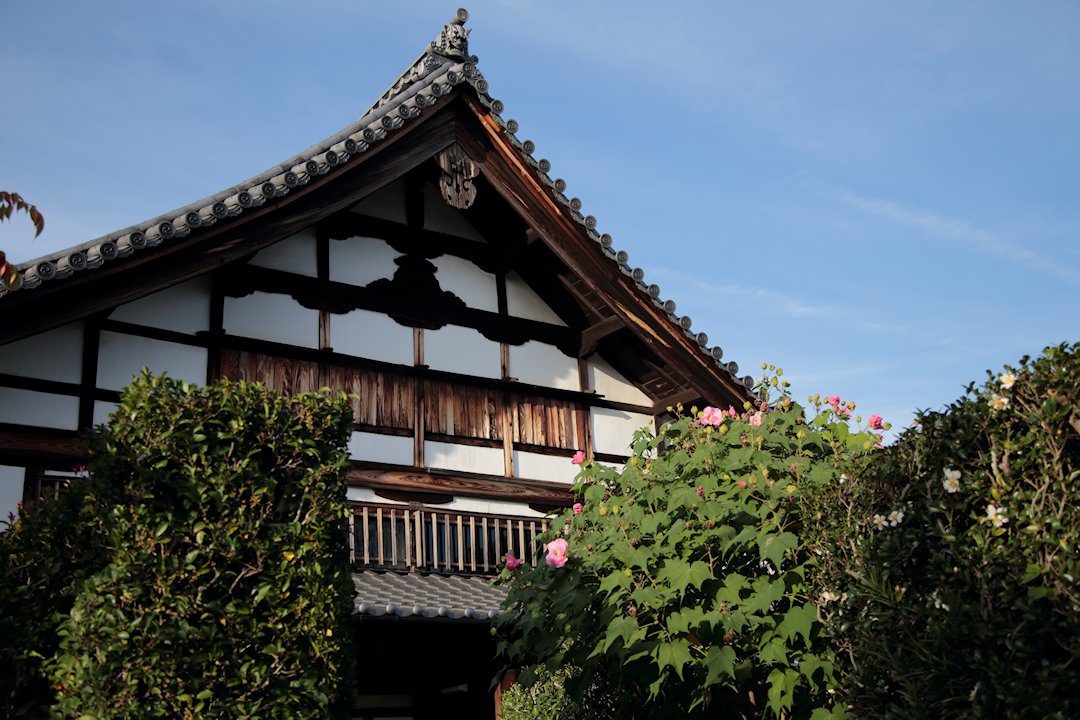 �V�J���ɗ�