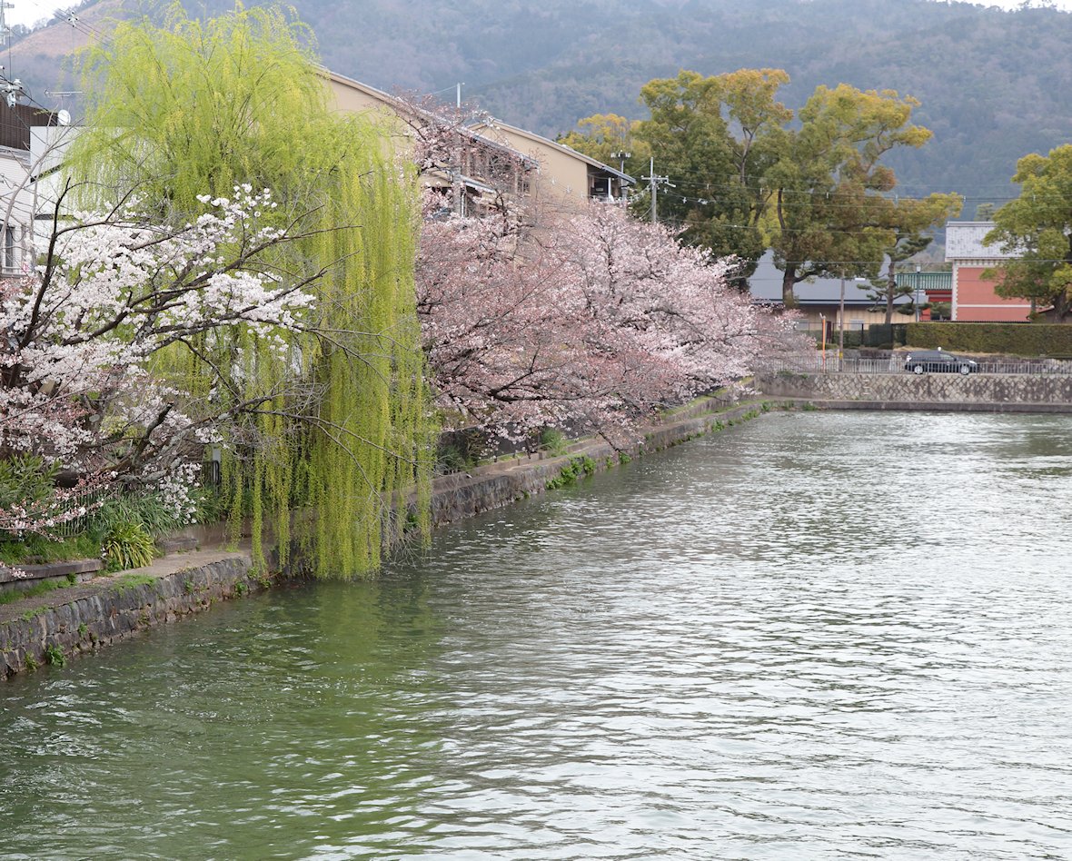 ���i�Α`��