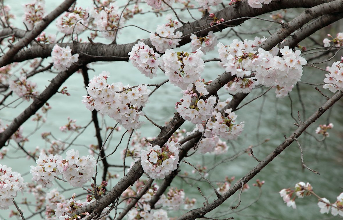 ���i�Α`��