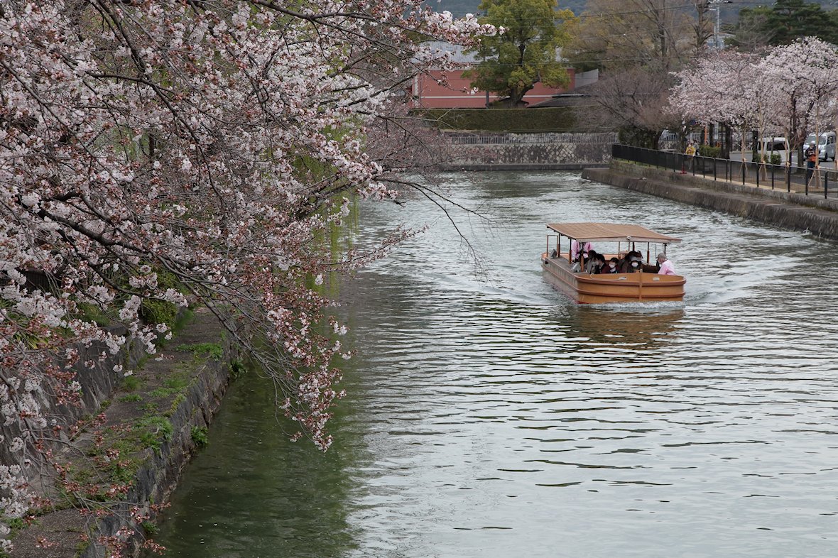 �т�Α`���D