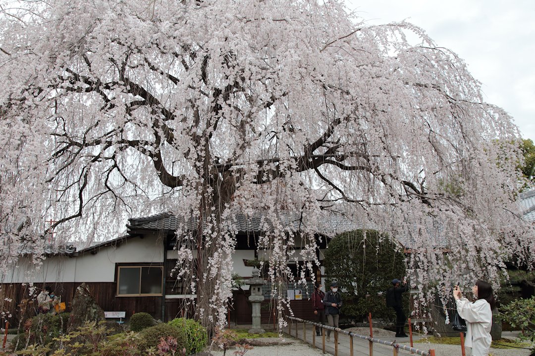 �{�����@�������