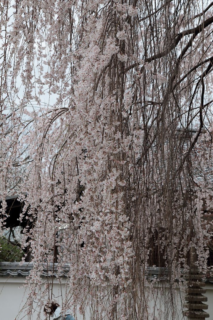 �{�����@�������