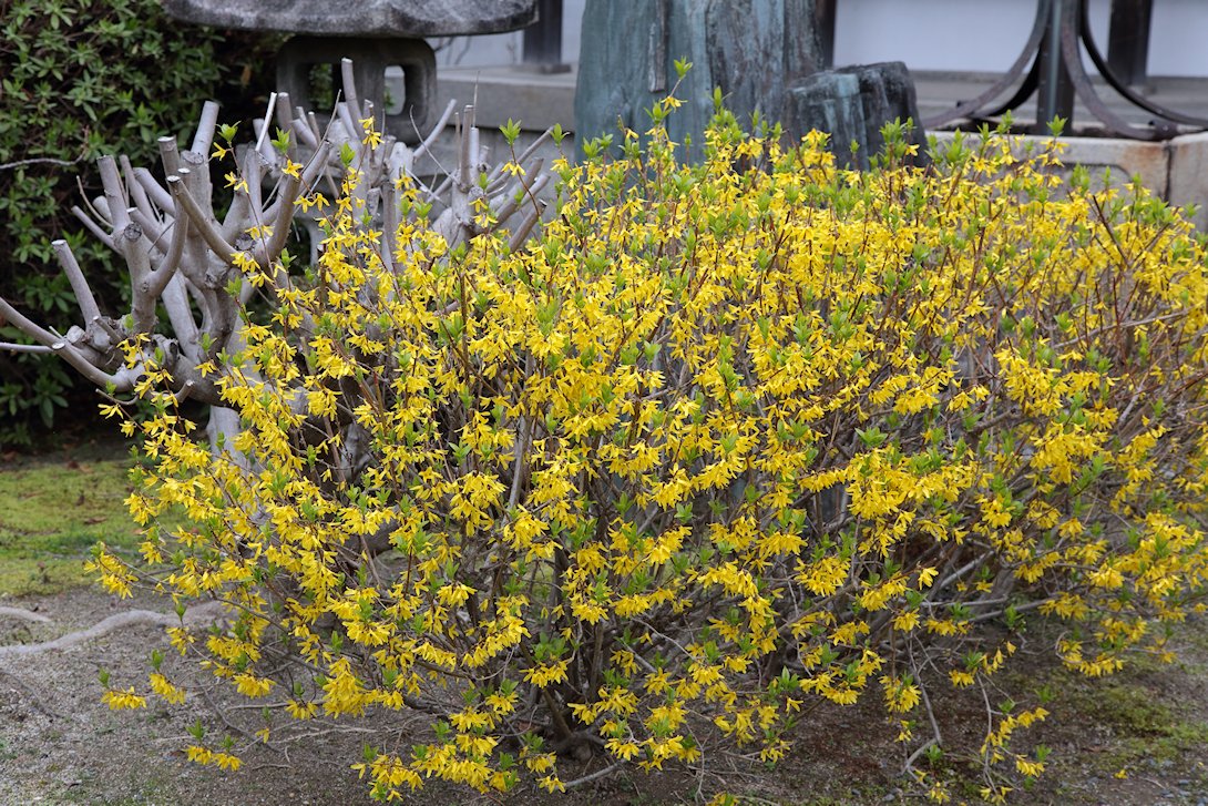 �{�����@�����M���E