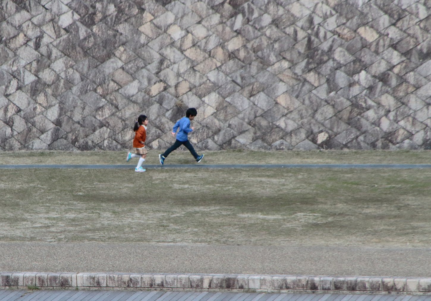 �R���P�O���͎Ő��i�G���j���~��Ԃł�