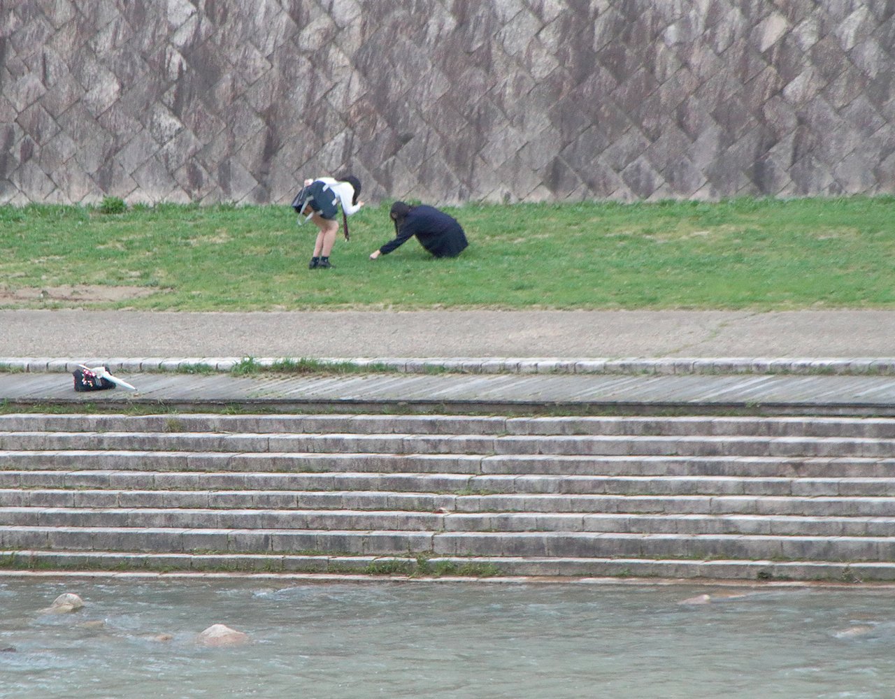 �l�t�̃N���[�o�[��T��