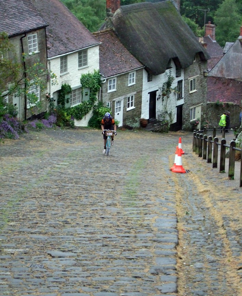 �V���t�c�x���[�@�S�[���h�E�q��