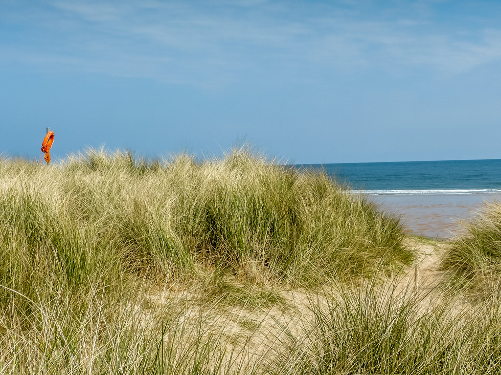 �_���X�^���o��