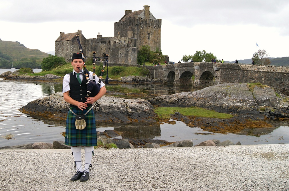 �A�C���[���E�h�i����