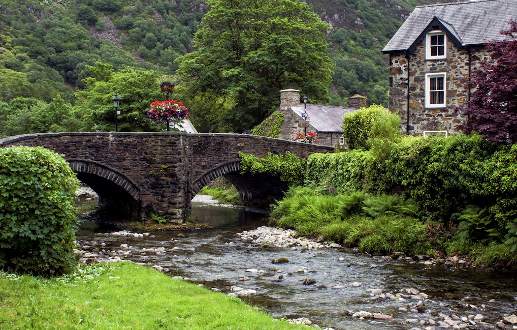 �R���E�B��@�E�F�[���Y