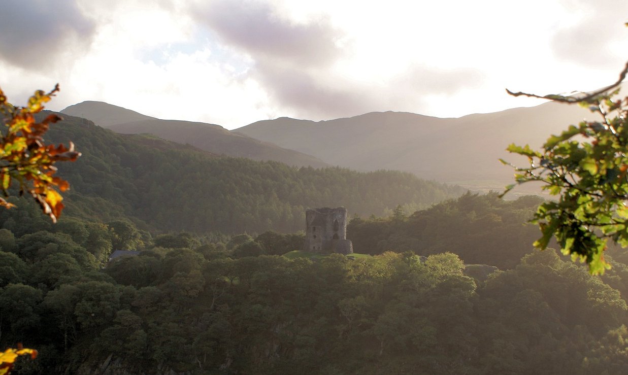 �E�F�[���Y