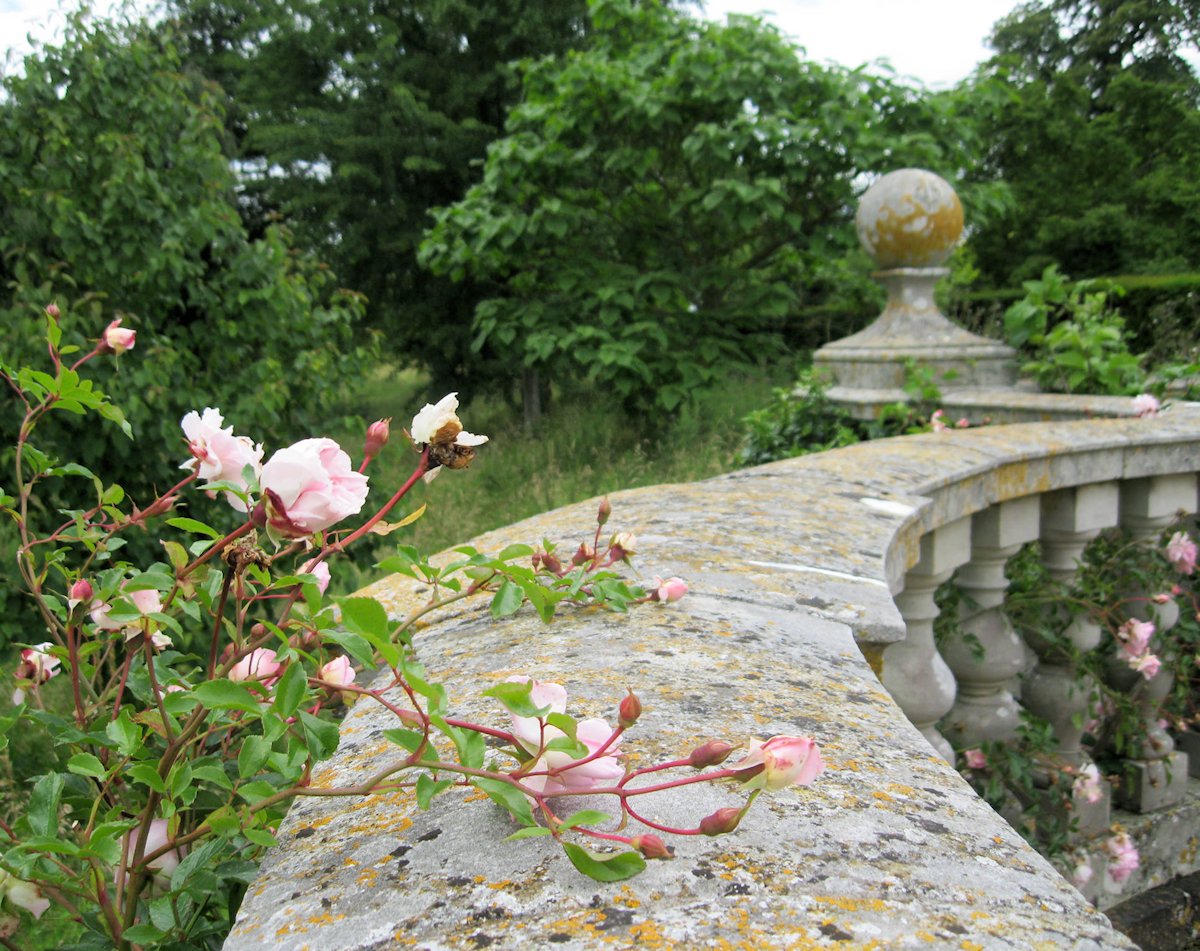 �A�V���t�H�[�h�@�@�P���g