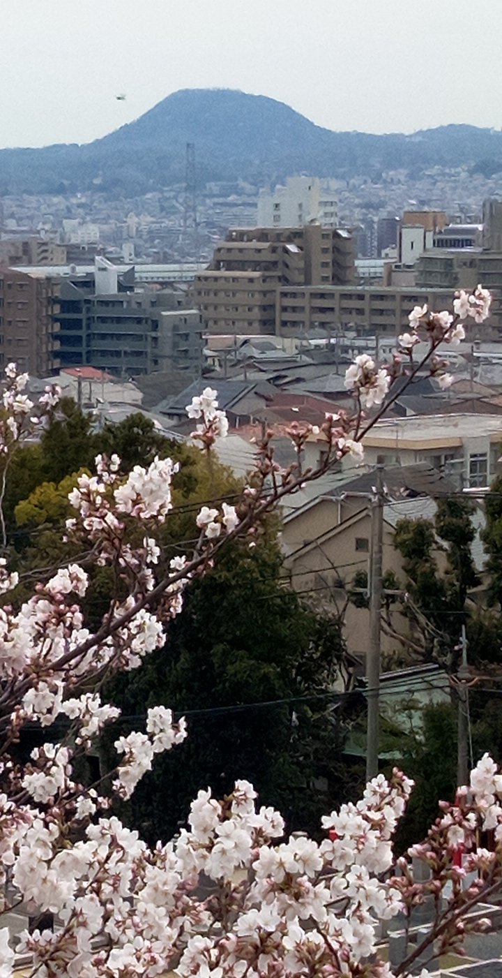 ���R���@�b�R�i���ԂƂ�܁j���̂���