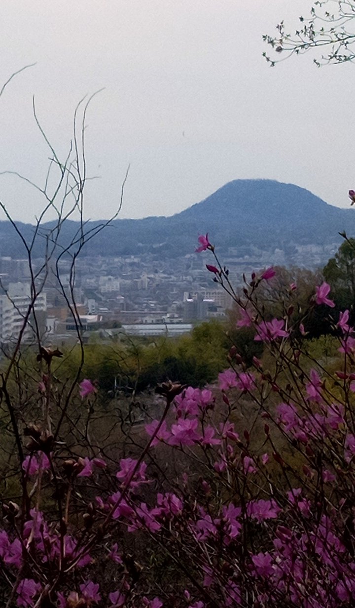 ���R���@�b�R�Ƃ݂΂�