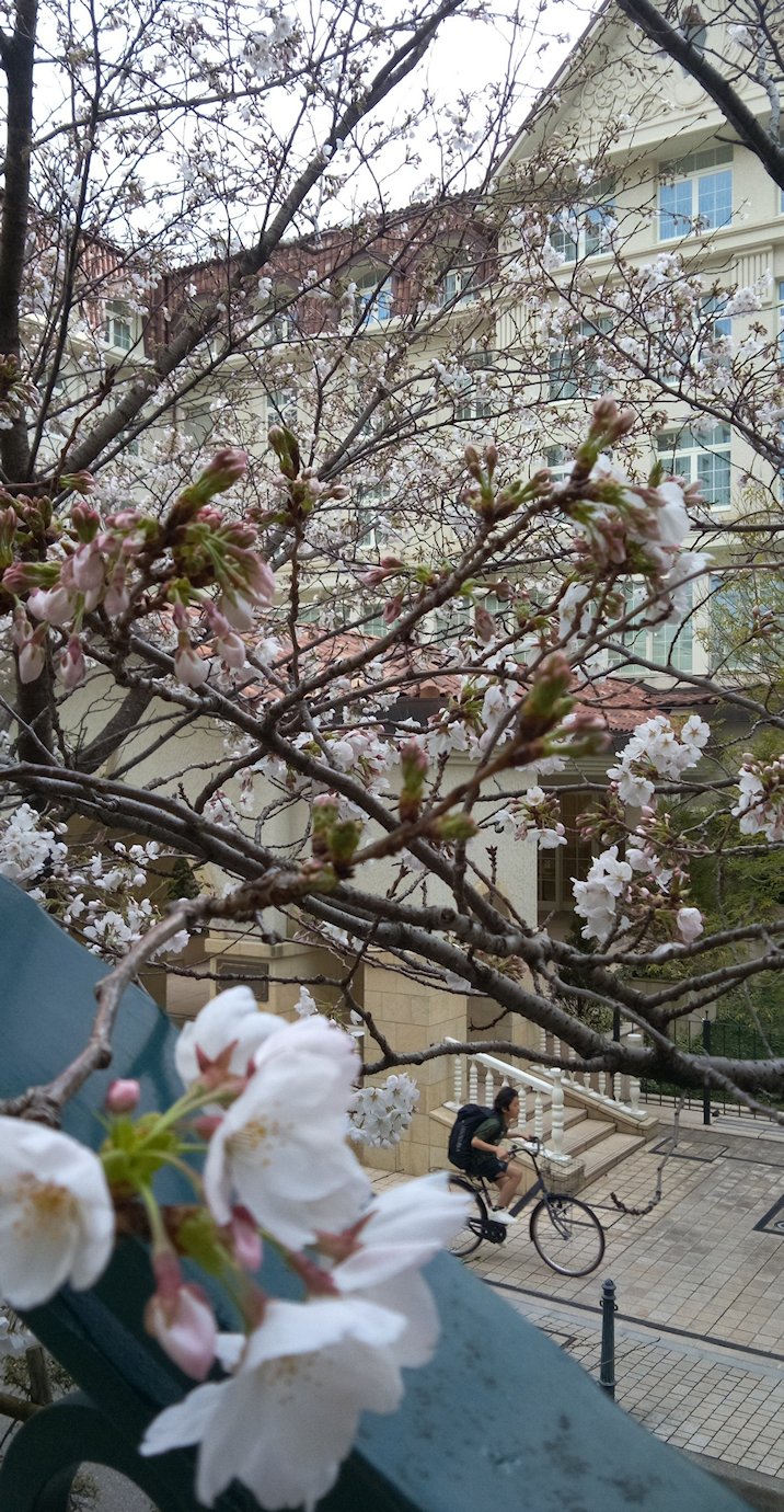 �͂Ȃ݂̂��̋߂��ŕ�炵�Ă���Ɛl�̏��Ȃ��������v����čs���܂�